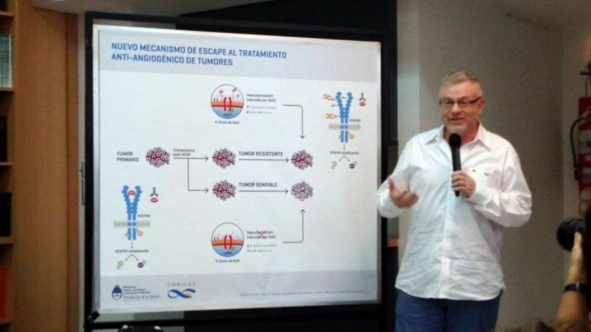Científicos argentinos descubren avances en la lucha contra el cáncer