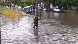 Caminata acuática de Michael Jackson el día de las inundaciones