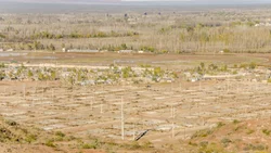 Licitación para la construcción de 483 viviendas en Cuenca XVI