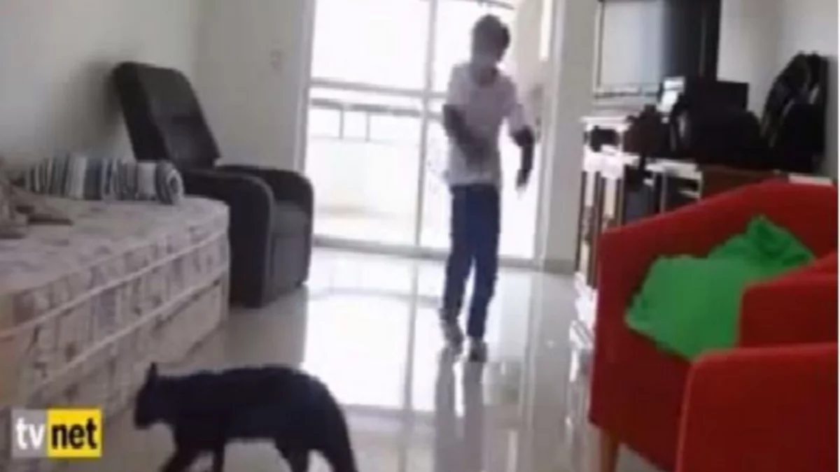 El gato ataja penales