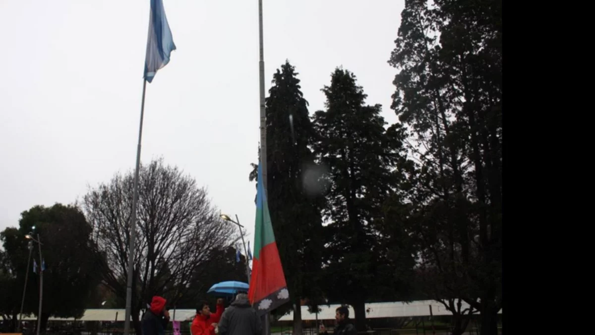 SM Andes: Izaban la bandera mapuche en la plaza y todo terminó  mal