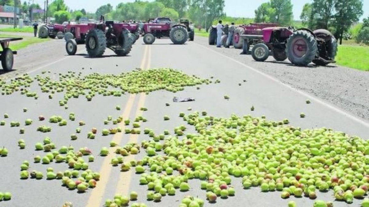 Se va a perder la mitad de la producción de pera