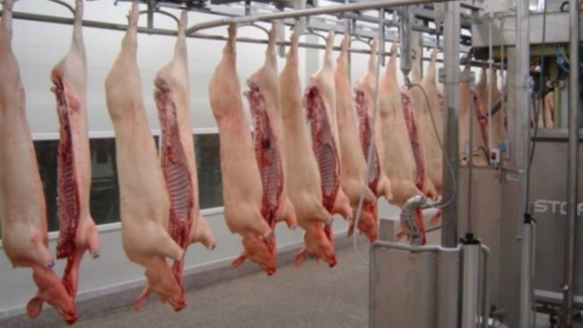 Por disposición del CIPPA, el matadero de Nueva Esperanza permanecerá cerrado