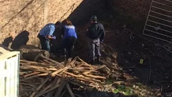 Investigan hallazgo de restos óseos en pleno centro