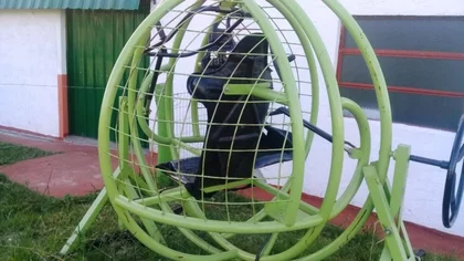 Compró un juego por internet y jamás le llegó