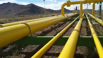 Por qué es importante implementar el Plan Gas