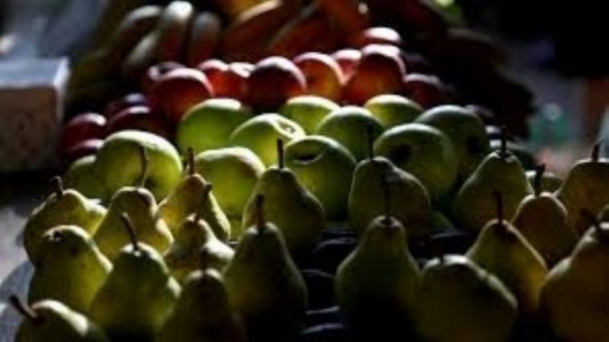 Organizan control de peras y manzanas por el carpocapsa