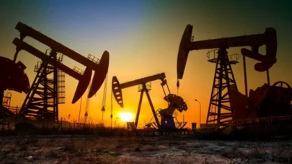 Sin fracturas y sin actividad. La actividad petrolera en “extrema gravedad”