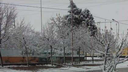 Cutral Co y Plaza Huincul amanecieron con nieve