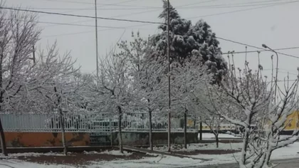 Cutral Co y Plaza Huincul amanecieron con nieve