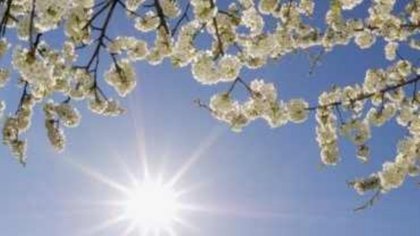 ¿Cómo estará el tiempo este domingo?