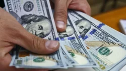¿Qué pasó con el dólar después de las PASO?