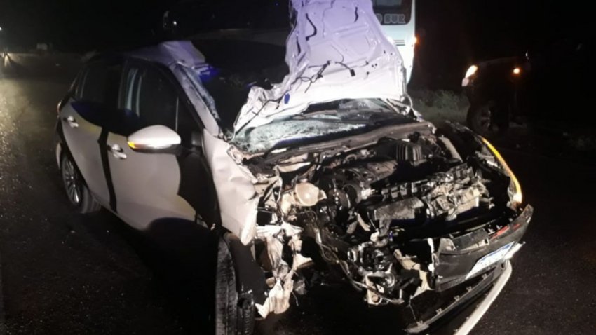 Motociclista murió en choque frontal cerca de El Chocón