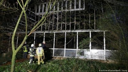 Al menos 30 animales murieron en incendio de un zoológico