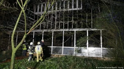 Al menos 30 animales murieron en incendio de un zoológico