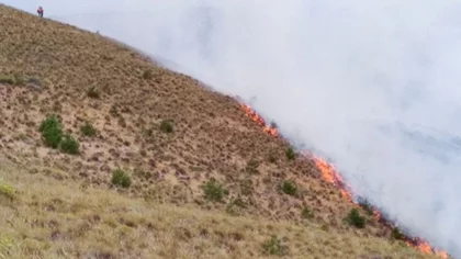 Doce incendios habían sido contenidos; 2 permanecían sin control