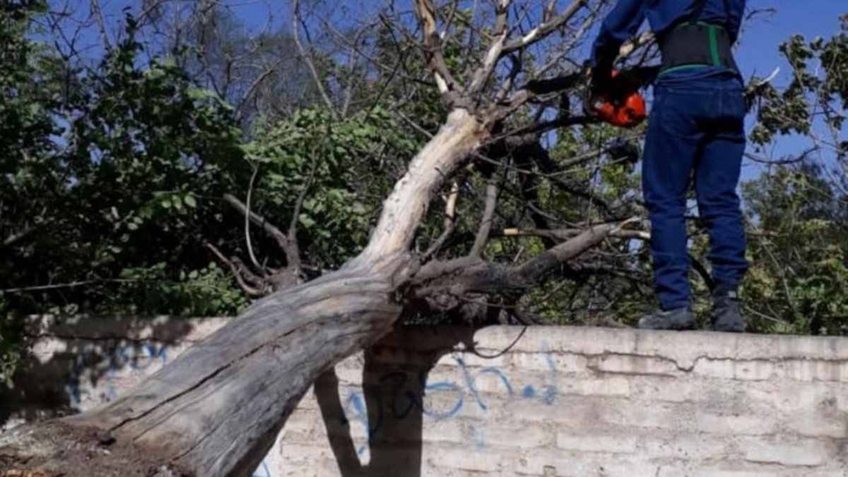En el Oeste, el viento voló gran cantidad de techos
