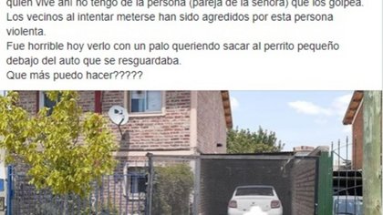 Denuncia que un vecino maltrata a su pequeño perro