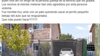 Denuncia que un vecino maltrata a su pequeño perro