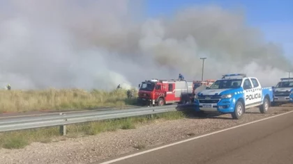 Una pareja prendió fuego cinco hectáreas de pastizales en Ruta 40