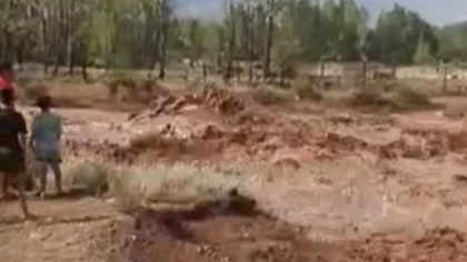 Habilitan el tránsito en la ruta 237