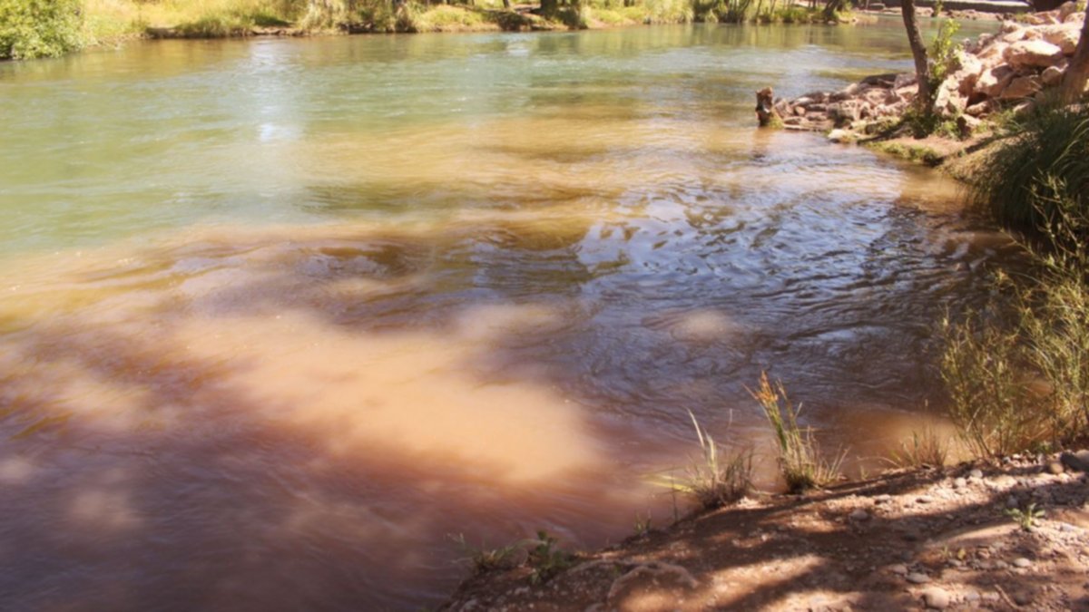 Vecino filmó como tiran líquidos con olor nauseabundo al agua