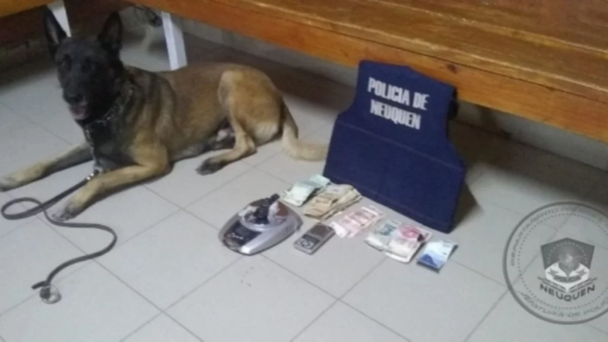 Tenía puestito narco en un paseo cultural y cayó la Policía