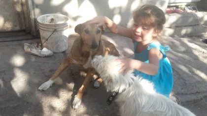 Tras el horror en la toma Ferri, una pequeña luz