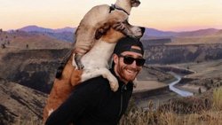 Amar a los animales