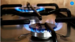 A quiénes no le cortarán el gas por 180 días (no son todos)
