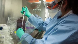 A 13 días de la cuarentena, el perfil del coronavirus en Neuquén
