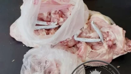 U-11: ahora encontraron porros entre un pollo crudo