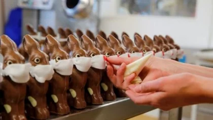 Venden conejos de chocolate con barbijos