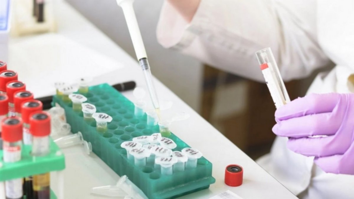 ¿Un antiparasitario puede parar el virus?