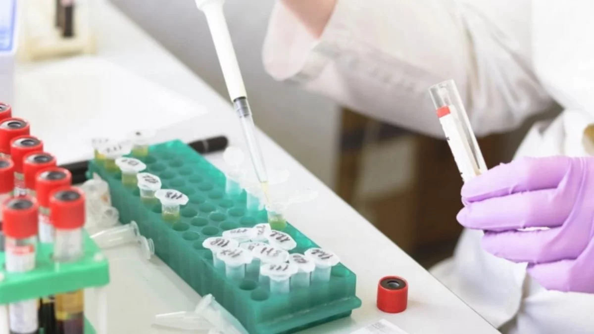 ¿Un antiparasitario puede parar el virus?