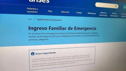 Evalúan otorgar un tercer pago del Ingreso Familiar de Emergencia