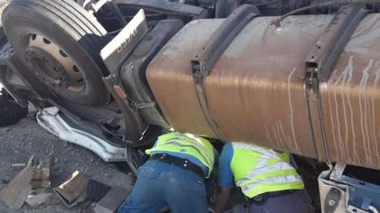 Camión que transportaba madera volcó en la ruta 237