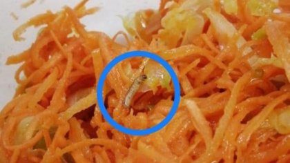 ¿Gusanos en la comida del hospital?