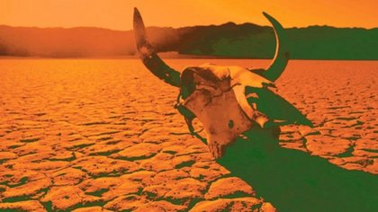 Vaca Muerta: “No hay que ir detrás de la manada”