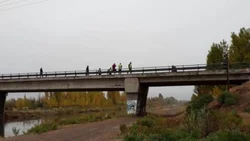 Un camión arrolló y mató a una mujer que cruzaba la Ruta 6