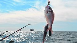 Pescadores piden que se flexibilice el aislamiento obligatorio