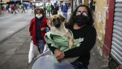 Chile establece un nuevo record de contagios de Covid – 19