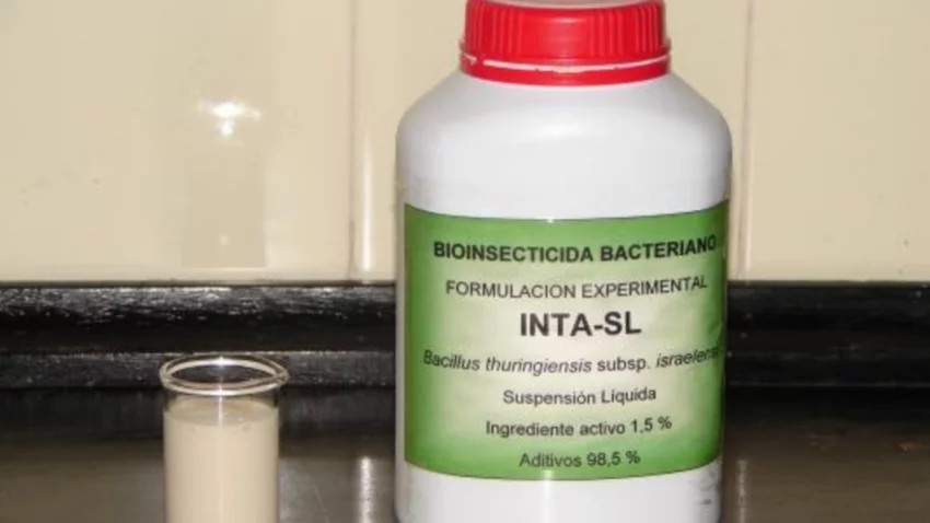 INTA crea un producto para combatir al dengue
