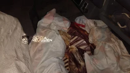 Cuatro posibles cuatreros detenidos cerca de Zapala