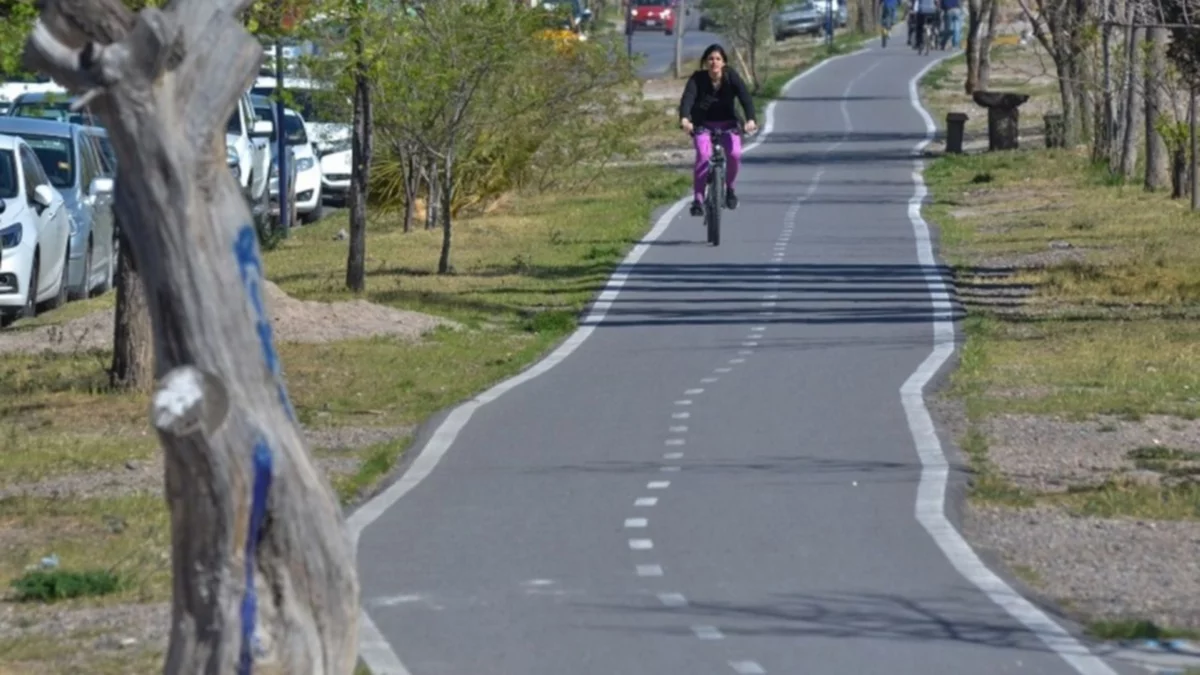 El municipio proyecta unir la ciudad con bicicalles