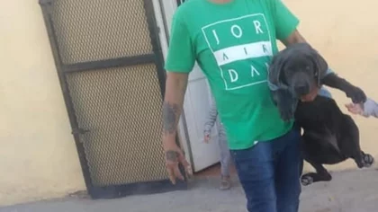 Cutral Co: Indignación por el robo de una perra