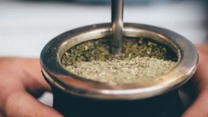 Aseguran que creció el consumo de yerba mate