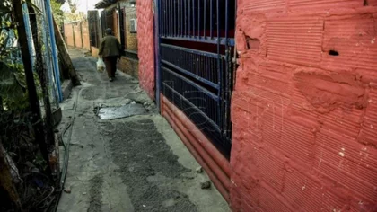Acribillan a la madre de uno de "los monos" en Rosario