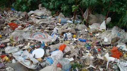 Escalofriante: Revolvía la basura y encontró un feto
