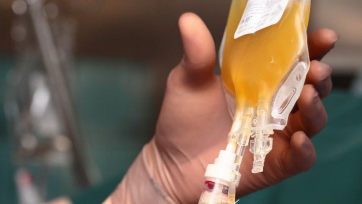 Diputados tratan hoy el proyecto de donación de plasma